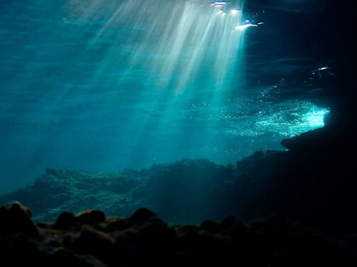 No solo las plantas y algas lo crean: encuentran minerales en el fondo marino que fabrican "oxígeno oscuro"