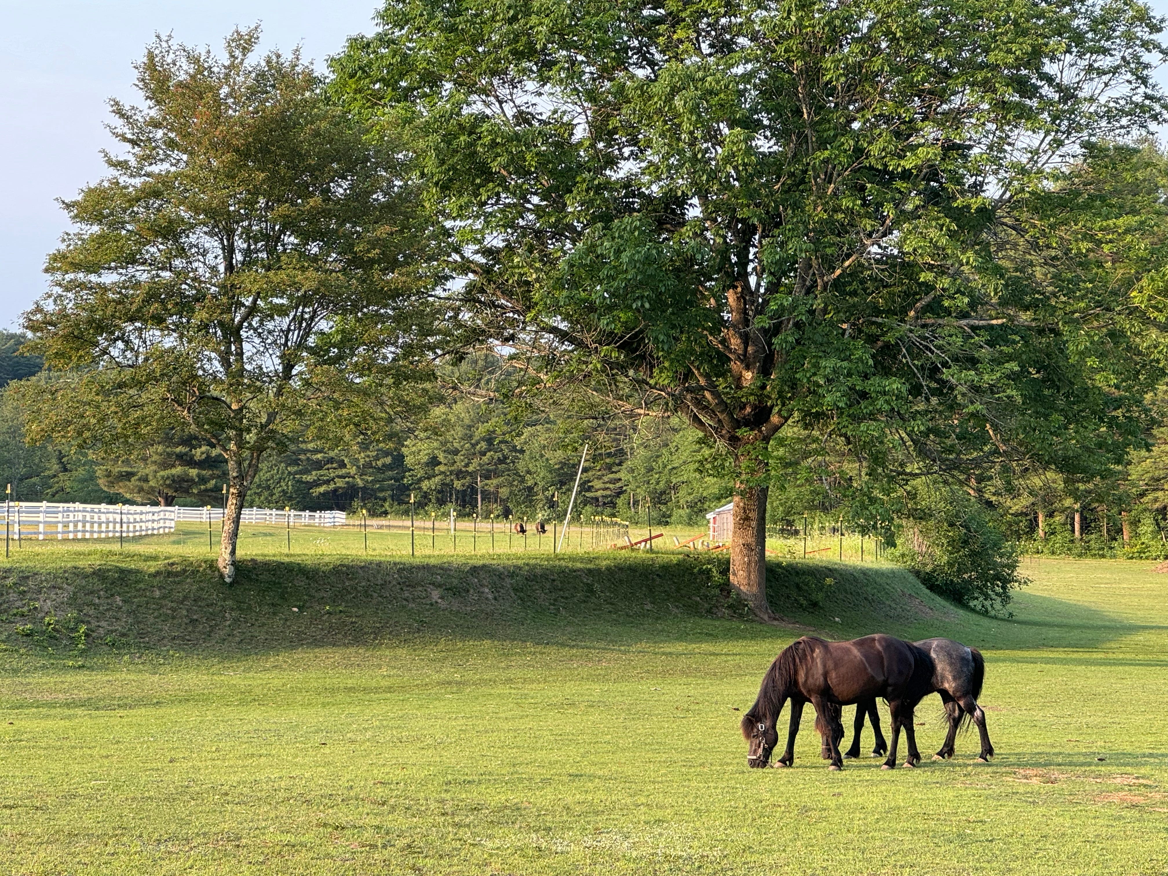 What is Bay State Racing actually proposing to do in Gardner?