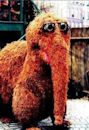 Mr. Snuffleupagus