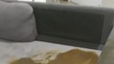 Woman shows the state of her £700 grey sofa after disaster play date