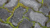 Remove moss from patios fast and prevent regrowth with expert’s magic solution