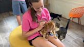 Young Volunteers Care for Animals at Project IMPACT Summer Camp