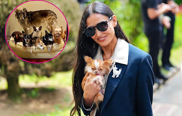 Demi Moore’s Love Life Is Going to the Dogs! Actress Is Putting Her Pets Before Dating