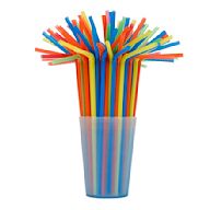 Most commonly used type of straw Made from petroleum-based plastic Not biodegradable and can take hundreds of years to break down Can harm wildlife if not disposed of properly