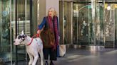 ‘The Friend’ Review: Naomi Watts, Bill Murray And A GREAT Great Dane Make A Heartwarming And Human Story...