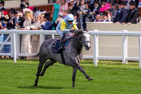 Charyn Opens Royal Ascot With Impressive Queen Anne Win