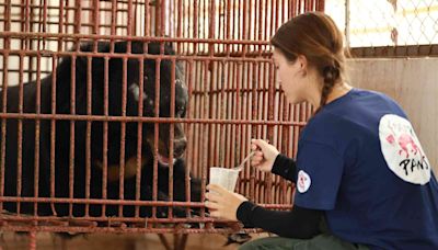 Bear Kept in Tiny Indoor Cage Sees the Outdoors for the First Time in 20 Years During His Rescue