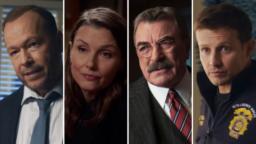 'Blue Bloods': Which Reagan Should Lead Potential Spinoff? (POLL)