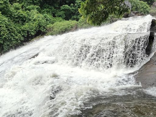 Moderate rainfall in Coimbatore district, Valparai plateau witness very heavy rainfall