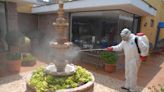 Registran en Torreón 15 casos de dengue; 7 fueron hospitalizados graves