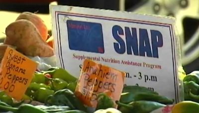 Houston Food Bank hosts SNAP replacement benefits event