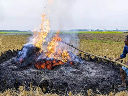 Punjab govt prepares Rs 500-crore action plan to check stubble burning