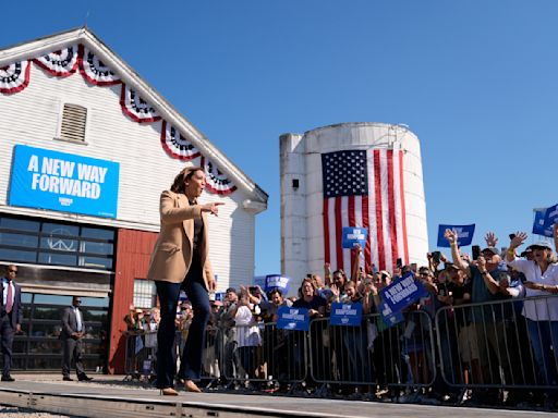 Harris’ momentum has stalled — but not reversed. Here’s 5 takeaways from the latest polls.