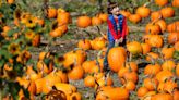 Spooky events, trick-or-treating and pumpkin patches to check out in Kitsap this Halloween