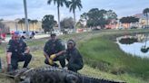 Massive alligator caught wandering around behind popular Florida mall, video shows