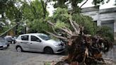 Temporal en Buenos Aires: cortes de luz, árboles caídos y caos en las calles