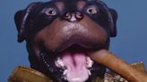 Triumph The Insult Comic Dog Comes To The Den Theatre