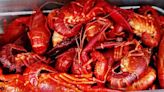 Garret Graves, Troy Carter announce USDA assistance for Louisiana crawfish farmers
