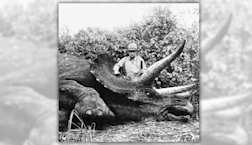 Fact Check: Theodore Roosevelt Supposedly Posed for Photo with Last Known Triceratops. Here Are the Facts