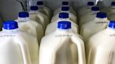 1 in 5 samples of pasteurized milk had bird flu virus fragments, FDA says