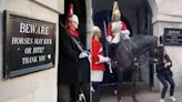 Cavalo da Guarda Real morde turista que se aproximou para foto em Londres; veja vídeo