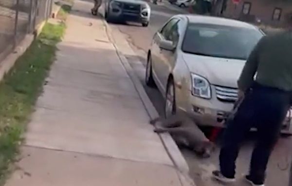 Community outraged after video shows beloved Winslow dog dragged by Animal Control