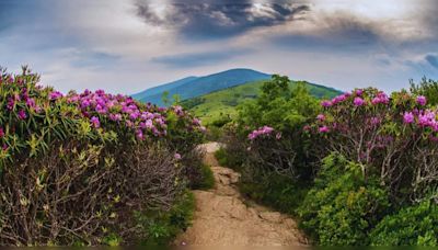 United States: 5 famous treks that are every adventure enthusiast’s dream