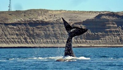 Cuál es la playa argentina que quedó dentro de las 100 mejores del mundo