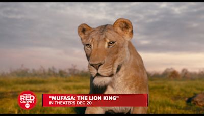 The stars of 'Mufasa: The Lion King' talk lions and legacy