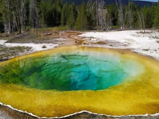 Yellowstone National Park's famous thermal pool ruined by tourists' ‘good luck’ coins