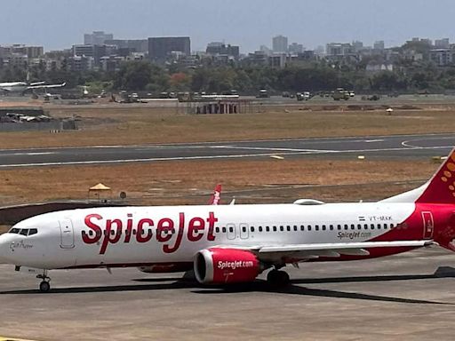 Kalanithi Maran vs SpiceJet: SC upholds Delhi HC's order remanding arbitration dispute back to single judge - The Economic Times