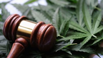 Rescheduling Marijuana Is 'Unjustifiable Abdication Of Responsibility' Says Black Cannabis Lawyers Assn. Urges Full Decriminalization