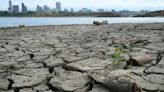 El cambio climático: ¿cómo afecta tu bolsillo?