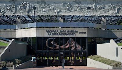 8 Teens Hospitalized After Visit to La Brea Tar Pits - MyNewsLA.com