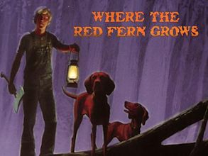 Where the Red Fern Grows (1974 film)