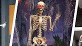 The 5 Best Animatronic Skeletons (That are Still in Stock for 2023)