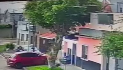 Sarandí: un hombre le disparó a un perro desde el balcón de su casa