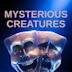 Mysterious Creatures