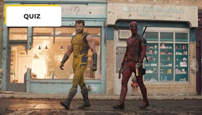 Deadpool ou Wolverine : le duo débarque au cinéma, mais avec lequel des deux avez-vous le plus en commun ?