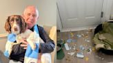 Coventry City fan devastated after dog eats promotion play-off tickets