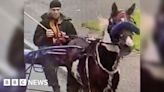 Appleby Horse Fair: Appeal after horse 'worked to death'