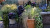 Fall planter ideas: 10 seasonal containers to add color and interest to your yard