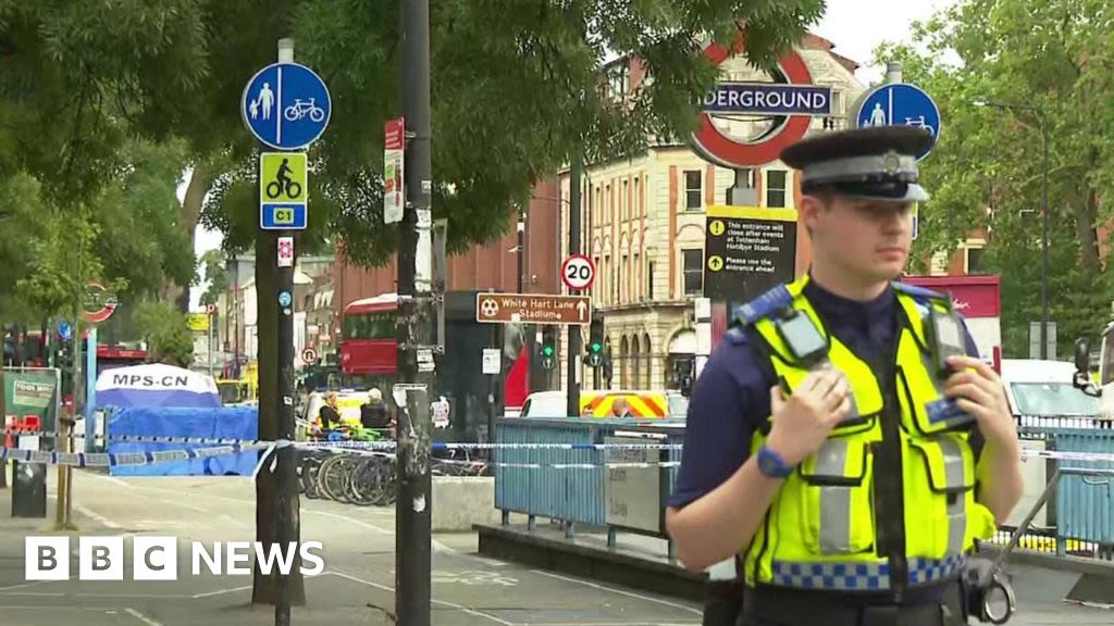 Seven Sisters Tube: Murder probe begins after stabbing victim dies