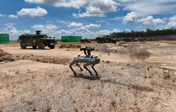 China’s military shows off rifle-toting robot dogs