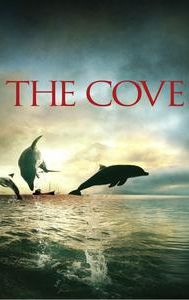 The Cove