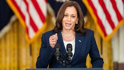 Kamala Harris: Supreme Court mifepristone ruling doesn’t mean abortion is safe under Trump