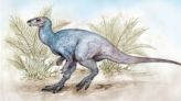 Chakisaurus nekul: hallaron en Río Negro a un dinosaurio que vivió hace 90 millones de años