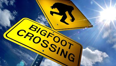 People says they've seen Bigfoot at Guernsey County's Salt Fork Lake. Will you be next?