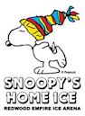 Snoopy's Home Ice