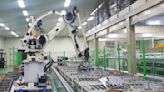 An industrial robot crushed a worker to death at a vegetable packing plant in South Korea